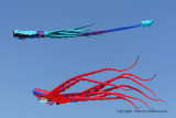 750 Cerfs volants  Berck sur Mer - MK3_8313_DxO WEB.jpg