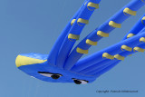 758 Cerfs volants  Berck sur Mer - MK3_8321_DxO WEB.jpg