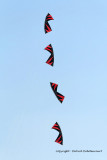 808 Cerfs volants  Berck sur Mer - MK3_8374_DxO WEB.jpg