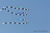 827 Cerfs volants  Berck sur Mer - MK3_8395_DxO WEB.jpg