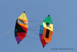 960 Cerfs volants  Berck sur Mer - MK3_8512_DxO WEB.jpg