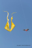 1000 Cerfs volants  Berck sur Mer - MK3_8553_DxO WEB.jpg