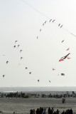 1020 Cerfs volants  Berck sur Mer - MK3_8575_DxO WEB.jpg