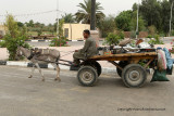 Louxor - 108 Vacances en Egypte - MK3_8948_DxO WEB.jpg