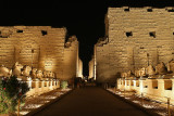 Egypte 2010 - Son et lumières du temple de Karnak / Sound & lights at the Karnak temple
