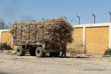 En voiture entre Louxor et Assouan - 453 Vacances en Egypte - MK3_9313_DxO WEB.jpg