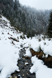 Balade en raquettes autour de la cascade du Planay