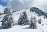 Balade en raquettes en haut du Christomet, au-dessus de Megve