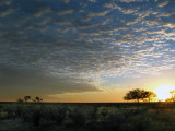 Desert Sunset.
