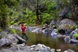 Buckland River