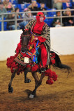 Scottsdale Arabian Horse Show