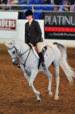 Scottsdale Arabian Horse Show