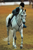 Scottsdale Arabian Horse Show
