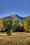 Mt Humphreys