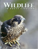 Wildlife in North Carolina Cover