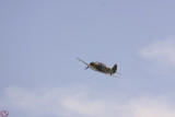 Yak 11