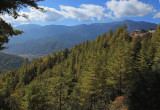 View from the tea house