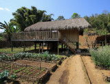The Ogiers village house