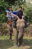 Elephants at Malikha Lodge