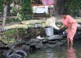 Life on the river bank