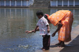 Feeding the fish at the sivaganga