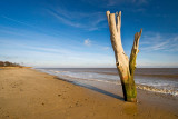 _MG_4428 benacre.jpg