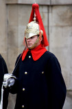 _MG_5094 horseguards.jpg