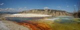 Canary Spring, Yellowstone National Park - Panorama