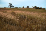 Near Bowmanville, Ontario