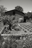 Garden, Upper Canada Village, Morrisburg, Ontario