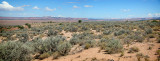 Arizona Roadside - Panorama