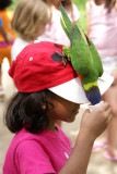 San Antonio, Texas, July 2007