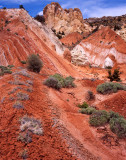 The Cockscomb, GSENM