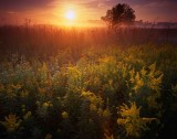 8 Moraine Hills State Park, IL