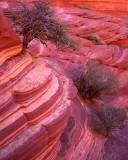 19 Coyote Buttes North, UT-AZ