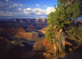 11 Gooseneck from Dead Horse Point