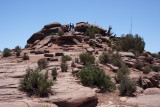 img_2010_06_06_0128.jpg
