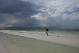 my favorite beach, dunedin-honeymoon island_