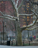 W - 2009-12-16-0010- New York -Alain Trinckvel.jpg