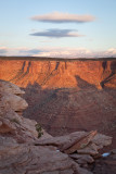 M---2009--11---01--0234---Canyonland---Alain-Trinckvel.jpg