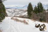 Payson Canyon snowshoeing 12_21_08.jpg