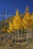 63_P7D0070 copy.jpg
