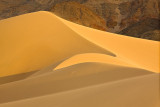 114_Q8V0856 copy.jpg