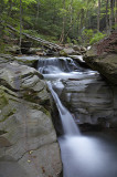 217_MG_9612 copy.jpg