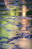 240_B5FS5263 copy.jpg