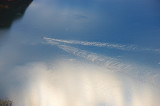 _P7D8782 copy.jpg