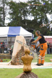 Carve Carrbridge 2008