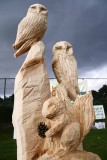 Carve Carrbridge 2008