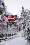 Winter slides.jpg