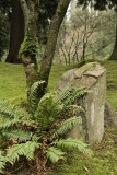 Japanese Gardens Portland Oregon